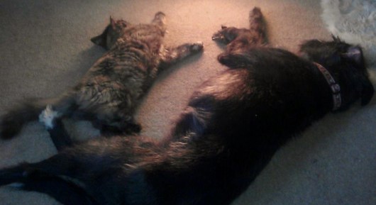 friends to be proud of Image