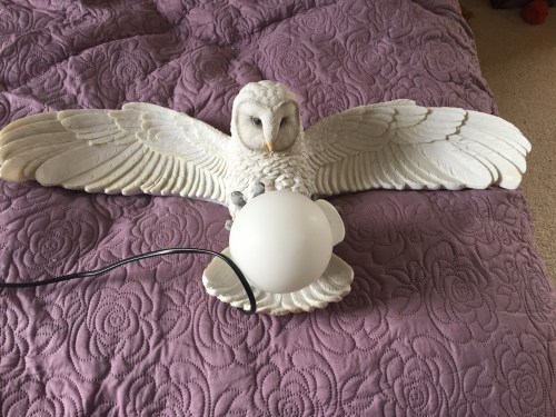 2018-04-18 16.54.57.jpg