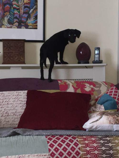 28577800_10155390992083106_6098945181259910080_n