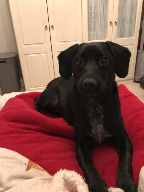 51132369_10156102948793106_420162193707761664_n