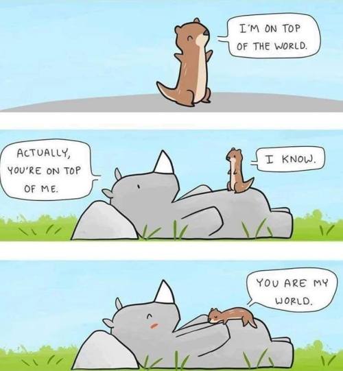 53355760_2238400826471778_3984293422214152192_n