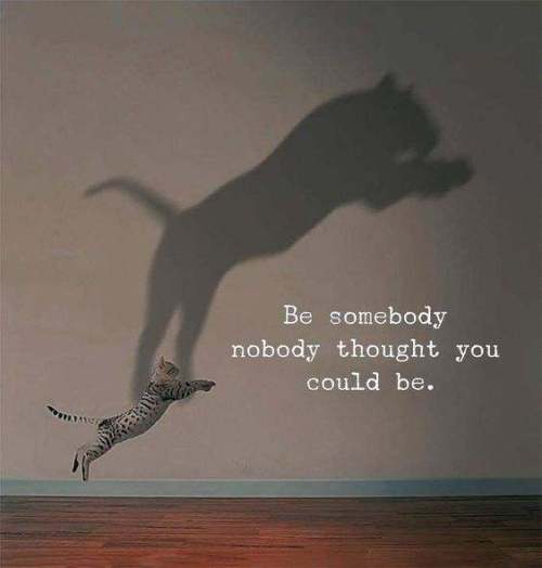 53881576_550386458783742_7411247591469350912_n